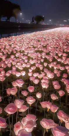 Enchanted Garden: Whispers of Florals